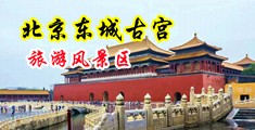 淫穴潮吹视频中国北京-东城古宫旅游风景区